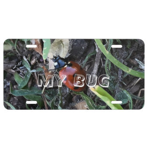 Lady Bug License Plate