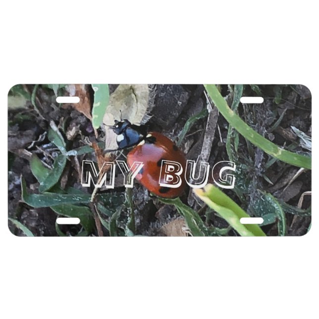 Lady Bug License Plate (Front)