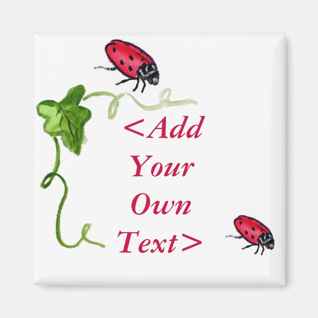 Lady Bug Magnet (Front)