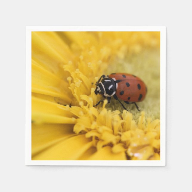 Lady bug napkins (Front)