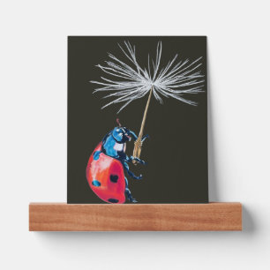 Lady Bug on A Dandelion seed Picture Ledge