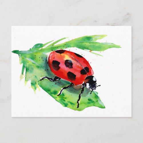 Lady Bug on a Green Leaf Postcard