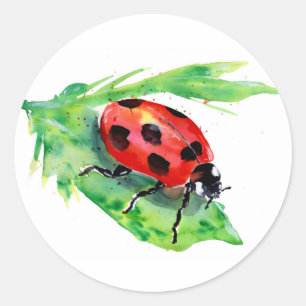 Lady Bug on a Green Leaf Watercolor Classic Round Sticker