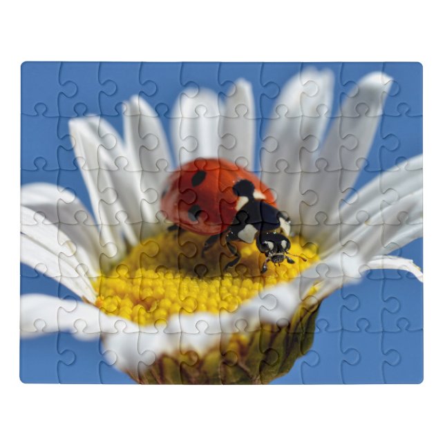 Lady bug on daisy Mug Jigsaw Puzzle (Puzzle Horizontal)