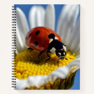 Lady bug on daisy Mug Jigsaw Puzzle Teddy Bear Notebook