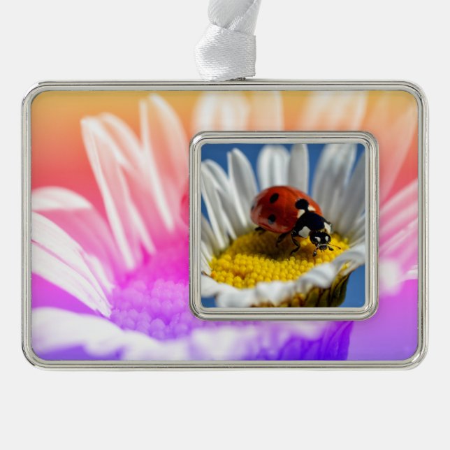 Lady bug on daisy Mug Mouse Pad Poster Christmas O Christmas Ornament (Front)