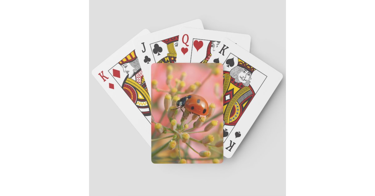 Lady Bug Playing Cards | Zazzle