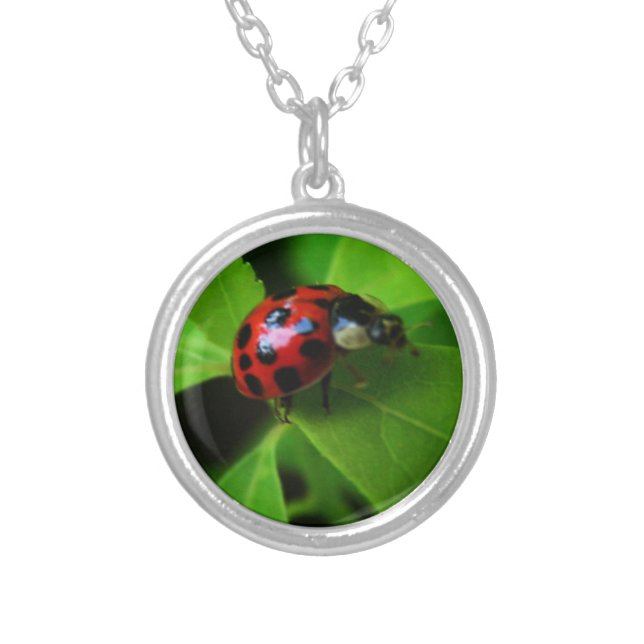 Lady Bug Silver Plated Necklace (Front)