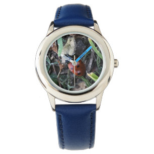 Lady Bug Watch