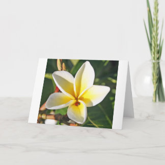 Lady Bug with Plumeria greeting card