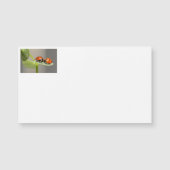 Lady Bugs Business Cards (Front)