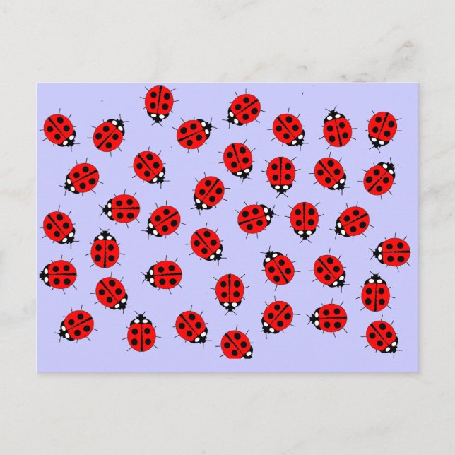 Lady Bugs Items Postcard (Front)