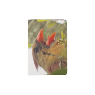 Lady Cardinal's Song Passport Holder