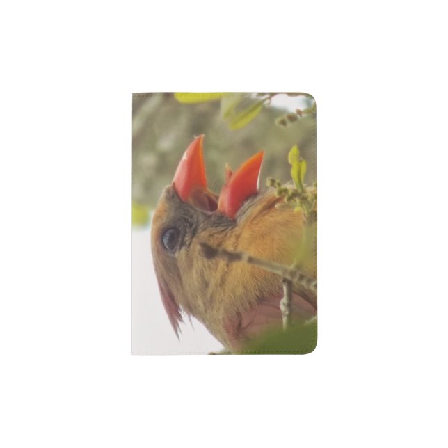Lady Cardinal's Song Passport Holder (Front)