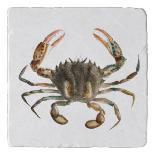Lady Crab Trivet