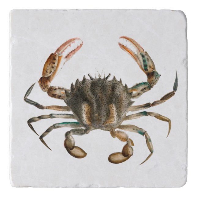 Lady Crab Trivet (Front)