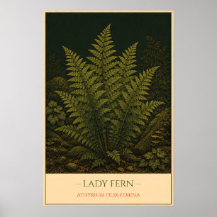 Lady Fern – Antique Botanical Illustration Poster