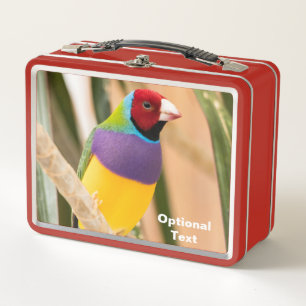 Lady Gouldian Finch Metal Lunch Box