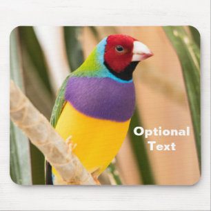 Lady Gouldian Finch Mouse Pad