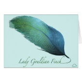 Lady Gouldian Finch Tail (Front Horizontal)