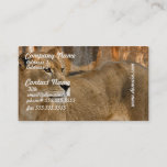 Lady Lioness Business Cards