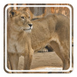 Lady Lioness Sticker