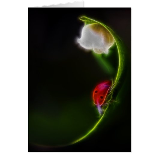 Lady of the Valley (Front)