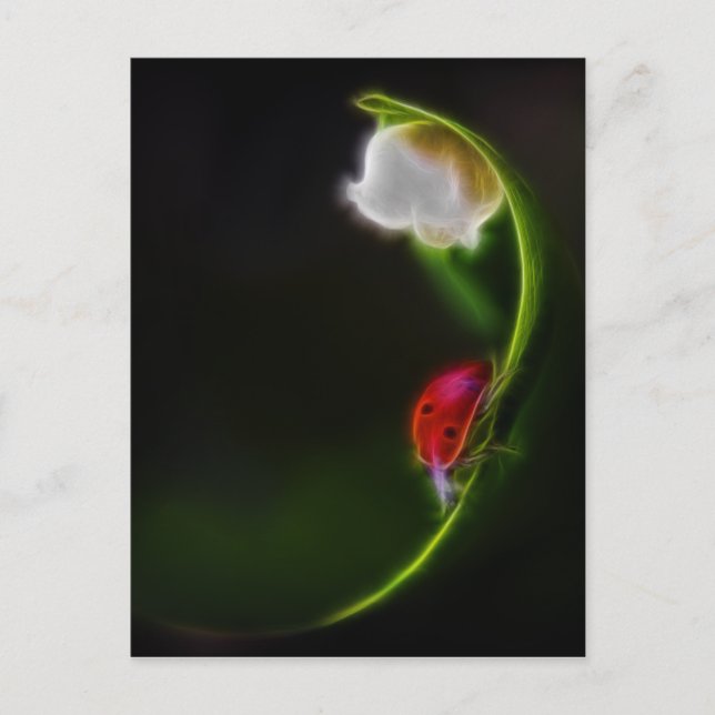 Lady of the Valley Postcard (Front)