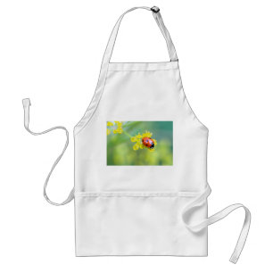 lady on top adult apron