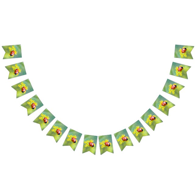 lady on top bunting flags (All)