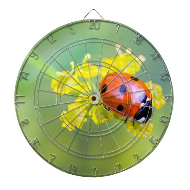 lady on top dartboard with darts (Front)