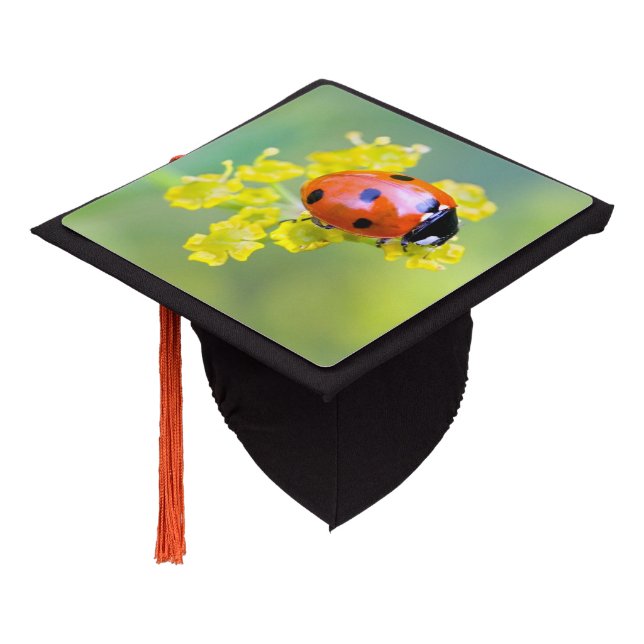 lady on top graduation cap topper (Angled)