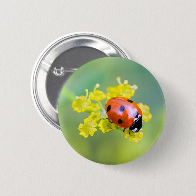 lady on top pinback button (Front & Back)