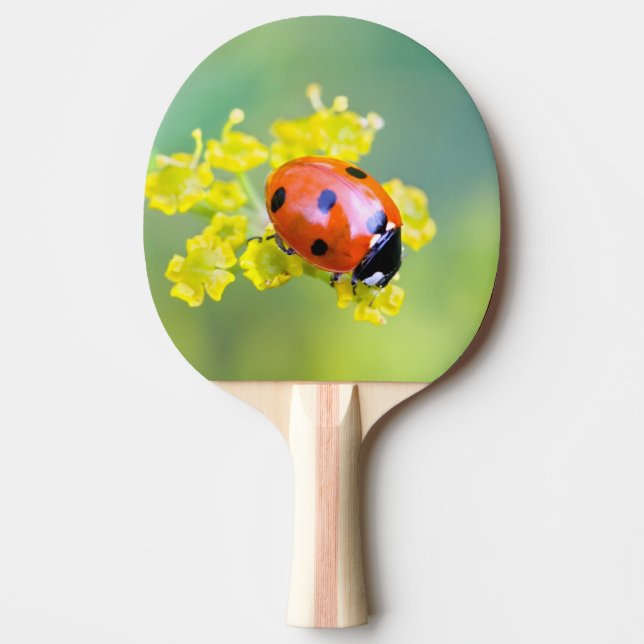 lady on top Ping-Pong paddle (Front)