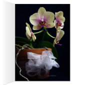 Lady Slipper and Orchids Cards (Inside (Right))