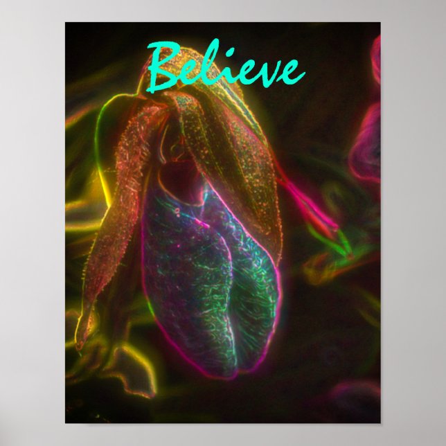 Lady Slipper Believe Inspirational Words Poster (Front)