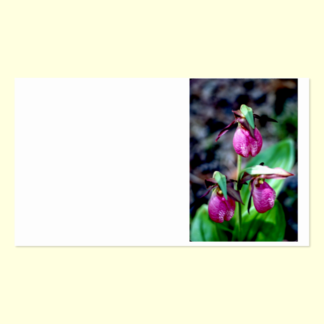 Lady Slipper I, Pink Green Garden Delight Double-Sided Standard Business Cards (Pack Of 100)