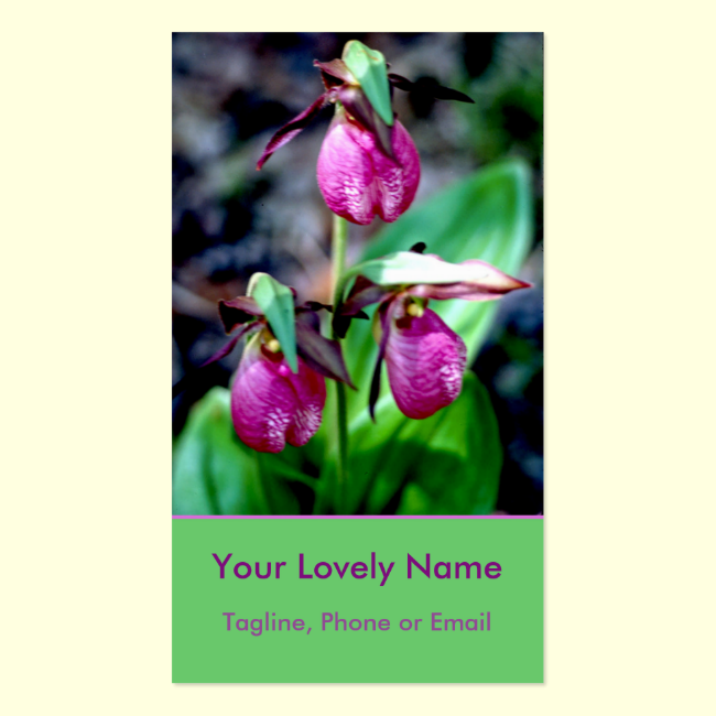 Lady Slipper I, Pink Magenta Green Garden Delight Double-Sided Standard Business Cards (Pack Of 100)
