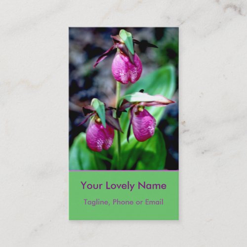 Lady Slipper I, Pink Magenta Green Garden Delight Business Card
