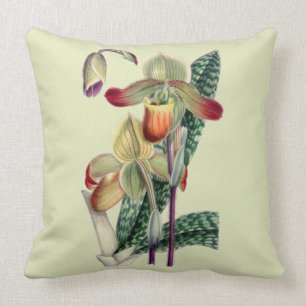 Lady Slipper Orchid Celadon Throw Pillow