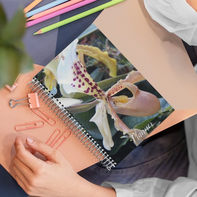 Lady Slipper Orchid Floral Planner (In Situ)