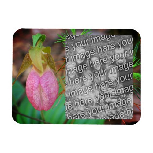 Lady Slipper Orchid Frame Add Your Photo Magnet