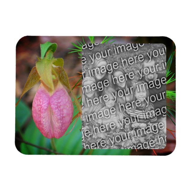 Lady Slipper Orchid Frame Add Your Photo Magnet (Horizontal)