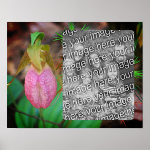 Lady Slipper Orchid Frame Add Your Photo Poster