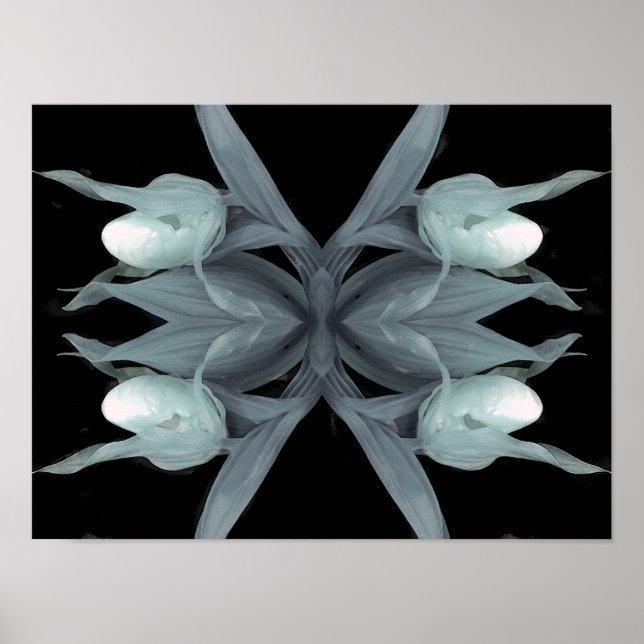 Lady slipper orchid - Print (Front)