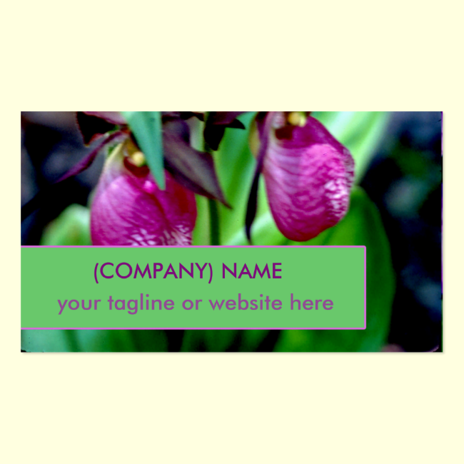 Lady Slipper, Pink Green Garden Delight Endangered Double-Sided Standard Business Cards (Pack Of 100)