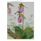 Lady Slippers (Front)