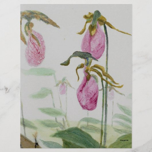 Lady Slippers (Front)