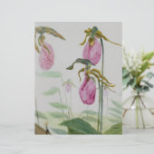 Lady Slippers (Standing Front)