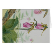 Lady Slippers (Front Horizontal)